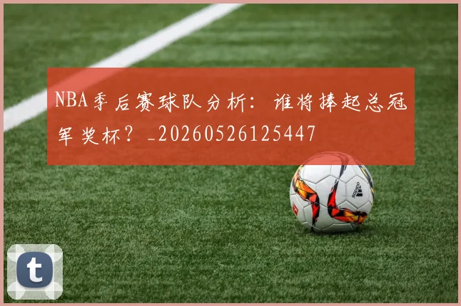 NBA季后赛球队分析：谁将捧起总冠军奖杯？_20260526125447