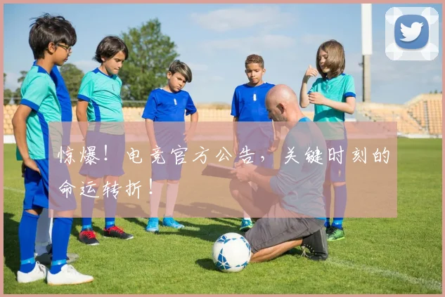 惊爆！电竞官方公告，关键时刻的命运转折！