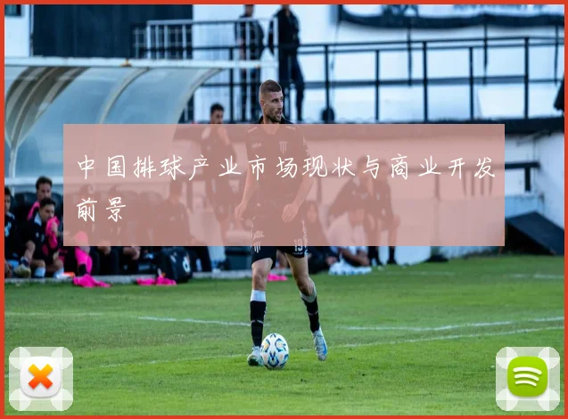 中国排球产业市场现状与商业开发前景